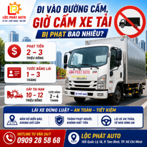 Lỗi Đi Vào Đường Cấm
